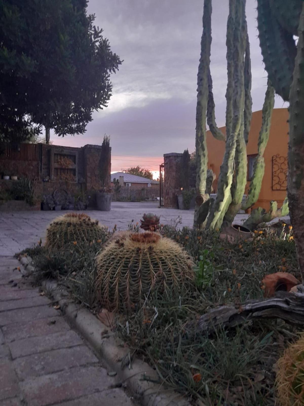Villa Contessa Beaufort Wes Buitenkant foto